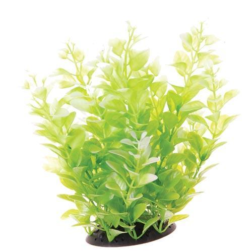 Artificial Plant White Tipped Cardamine