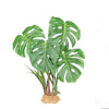 Komodo Plastic Terrarium Plant - Monstera