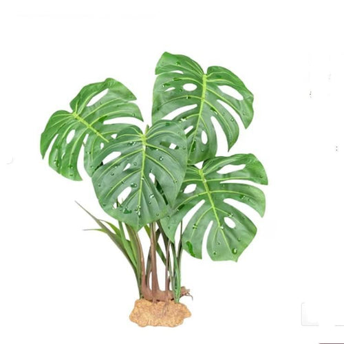 Komodo Plastic Terrarium Plant - Monstera