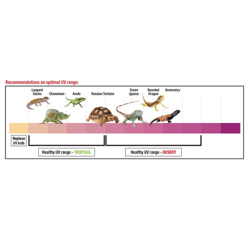 Zilla Rapid Sense UV Detecting Decor - Crocodile Cave