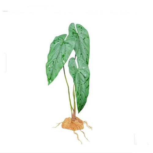 Komodo Plastic Terrarium Plant - Philodendron