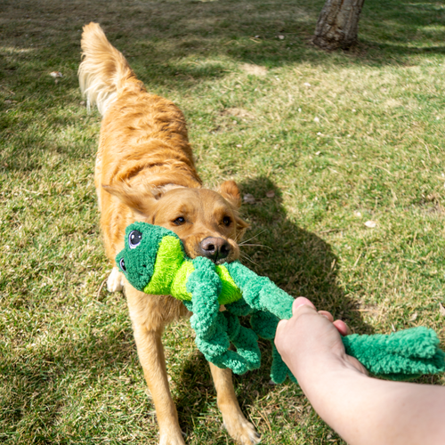 Kong Knots Frog Stuffed Dog Toy