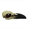 Komodo Ornament Raven Skull