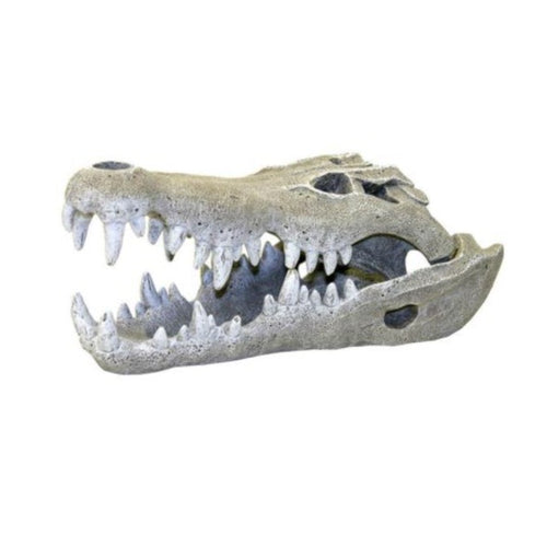 Exotic Environments Nile Crocodile Skull Ornament aquarium exotic environments decoration 030157011987 EE-354