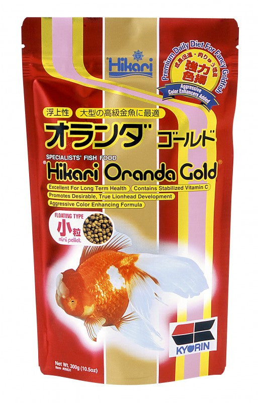 Hikari Oranda Gold Mini
