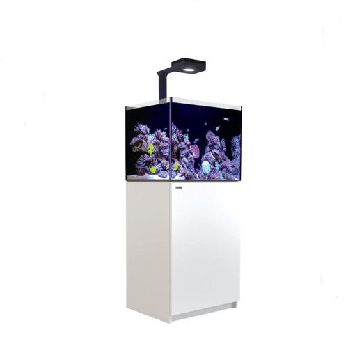 Red Sea REEFER 170 G2+ Deluxe - Sumped Reef System w/ ReefLed 90 (x1) & Arm