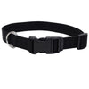 Coastal Adjustable Dog Collar with Plastic Buckle - Black