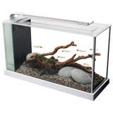 Fluval SPEC Aquarium Kit 5 Gallon - Black or White