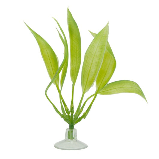Marina betta plastic plant suctioin cup with amazon sword 5 inch 12079 015561120791
