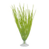 12080 marina betta plant hairgrass hair grass with suction cup beta 015561120807