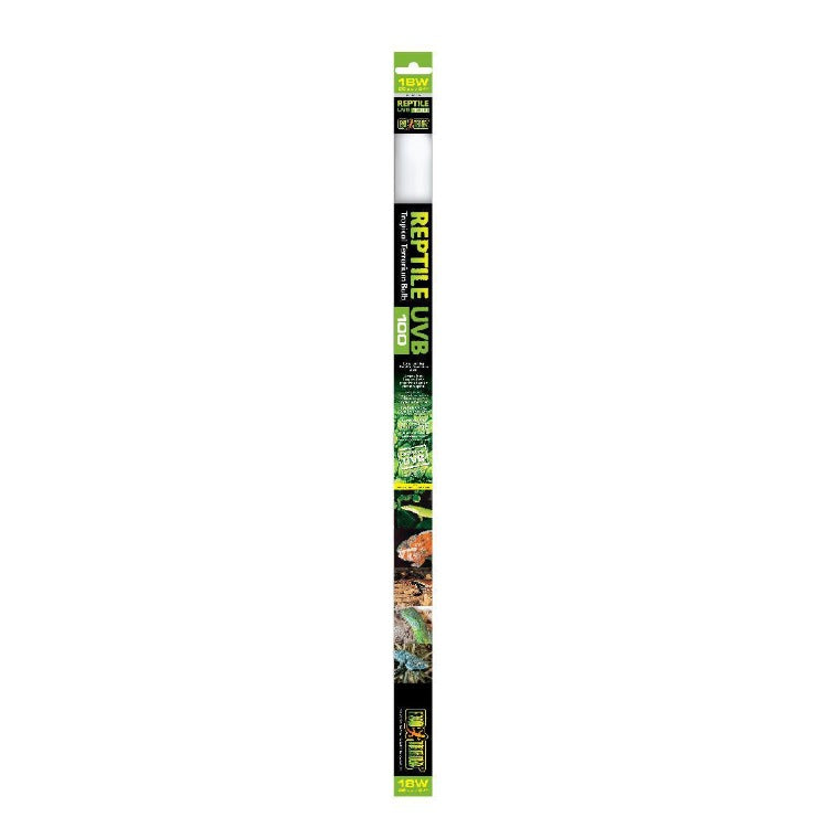 Lamp - Exo terra Dierenbenodigdheden Lamp - Exo terra Dierenbenodigdheden