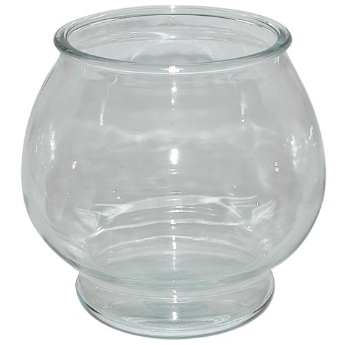 Glass Betta Bowl - 1 Gallon Footed