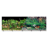 Background Freshwater Black - Tropical FW 12 inch Tall