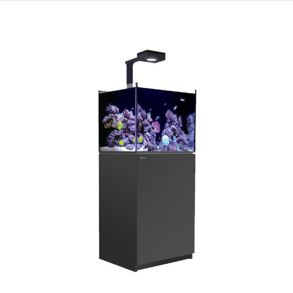Red Sea REEFER 170 G2+ Deluxe - Sumped Reef System w/ ReefLed 90 (x1) & Arm