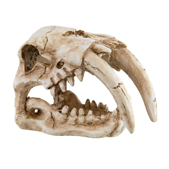 Ornament Sabertooth Tiger Skull