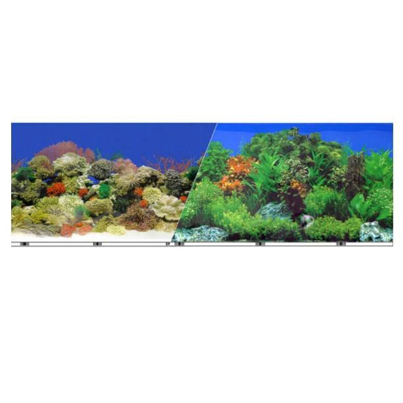 Background Freshwater Garden - Caribbean Coral Reef  12 inch Tall