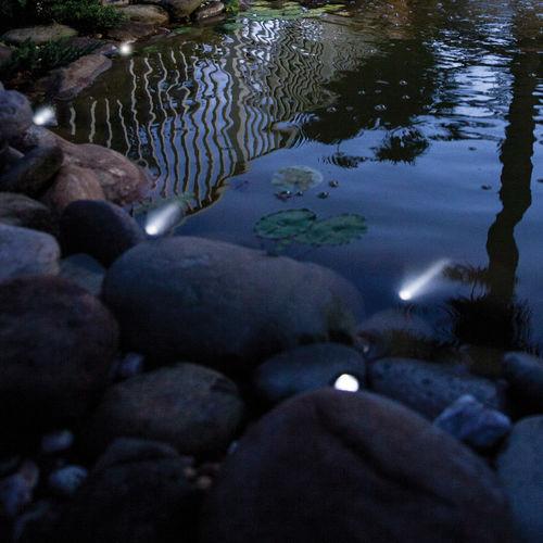 OASE LunaLED Pond & Landscape Mini Lights, Set  of 6