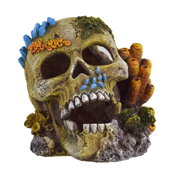 Ornament Coral Reef Skull