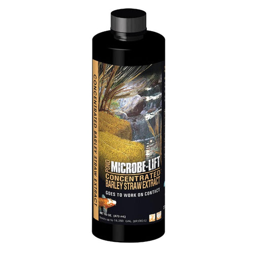 MLCBSE500 097121200693 Microbe-Lift Concentrated Barley Straw Extract Water Conditioner 16 oz