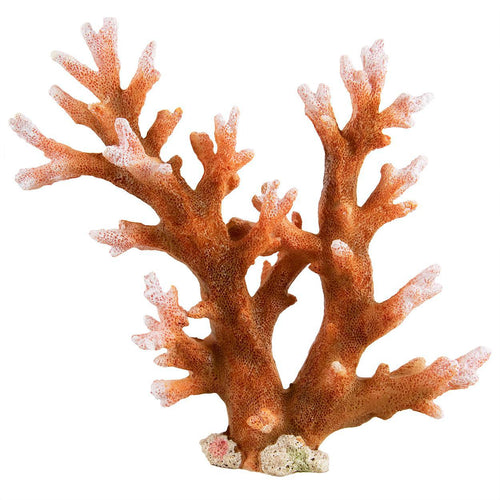 Ornament Staghorn Coral - Peach