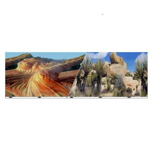 Background Cactus Desert - Sand Stone 12 inch Tall
