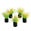 628742014354 plastic plants for small aquariums betta bowls hairgrass 5 pack