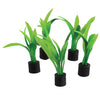 Artificial Plant Green Mini Sword Plant 5 Pack
