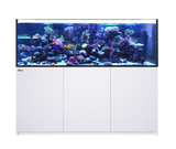 Red Sea Reefer XXL 750 black rimless aquarium fish tank glass complete system R42272 white