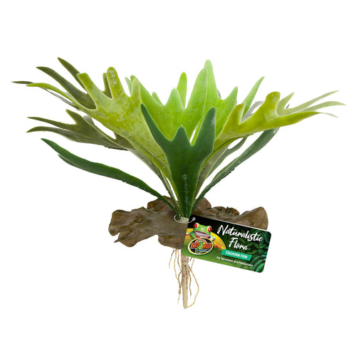097612180657 BU-65 zoo med staghorn fern naturalistic flora zoomed