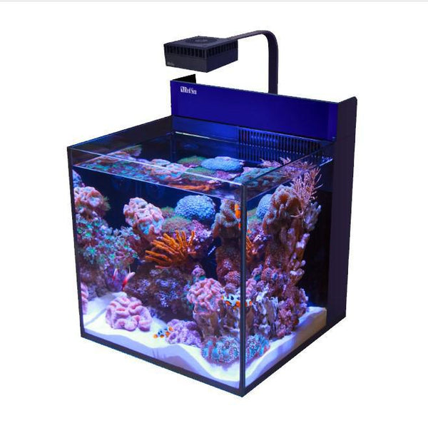 Red Sea MAX NANO Cube - All-in-one Plug & Play Reef System (Without  Cabinet) - Grandville, MI - Blue Fish Aquarium