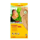 Sera Catappa - Almond Leaves for Natural Water Conditioning XXL  4001942452458 45245 32275