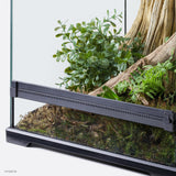 Exo Terra Plastic Terrarium Plant - Calcarea Boxwood Ground Cover