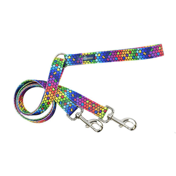 2 Hounds Double Connection Training Leash - ROY G BIV