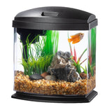 Aqueon LED MiniBow LED Kit with SmartClean Tech, 1 Gallon Black 015905001960  100543585 Mini bow aquarium fish tank  smart clean technology