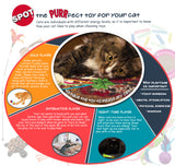 SPOT Wire Wand Cat Teaser Toy - 44 inch