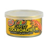 097612402476 ZM-147 Zoo Med Can O' Cockroaches 1.2 oz