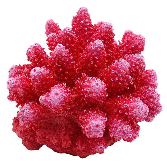 Ornament Cauliflower Coral - Red