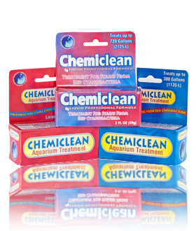 Boyd Chemiclean Chemi-clean Chemi Clean CC02 powder 2 oz 