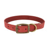 Circle T rustic leather dog collar made in the USA handcrafted brick red metal brass buckle