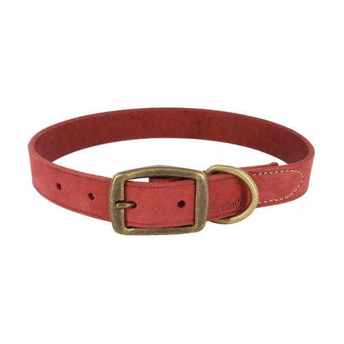Circle T rustic leather dog collar made in the USA handcrafted brick red metal brass buckle