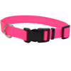 Coastal Adjustable Dog Collar with Plastic Buckle - Neon Pink xs s m l 