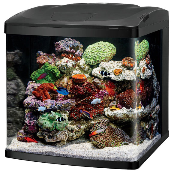 100115662 Coralife 32 Gallon LED BioCube Saltwater Aquarium Kit Bio Cube marine all in one all-in-one complete 096316156623
