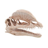 Ornament Dinosaur Skull