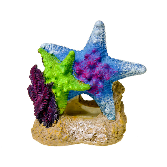 030157019570 Blue Ribbon Pet Products EE-1909 Sea Star Duo Seastar with Plant
