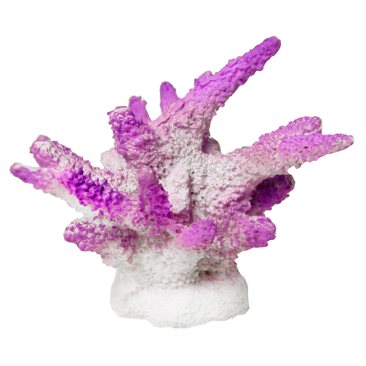 Exotic Environments Purple Finger Coral Ornament - in Grandville, MI ...