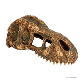 exo Terra T-Rex TRex T Rex Dinosaur Skull HIde Hideout PT2860 PT2859 015561228596 015561228602