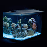 fluval evo marine stocked with corals and fish 13.5 gallon 10531