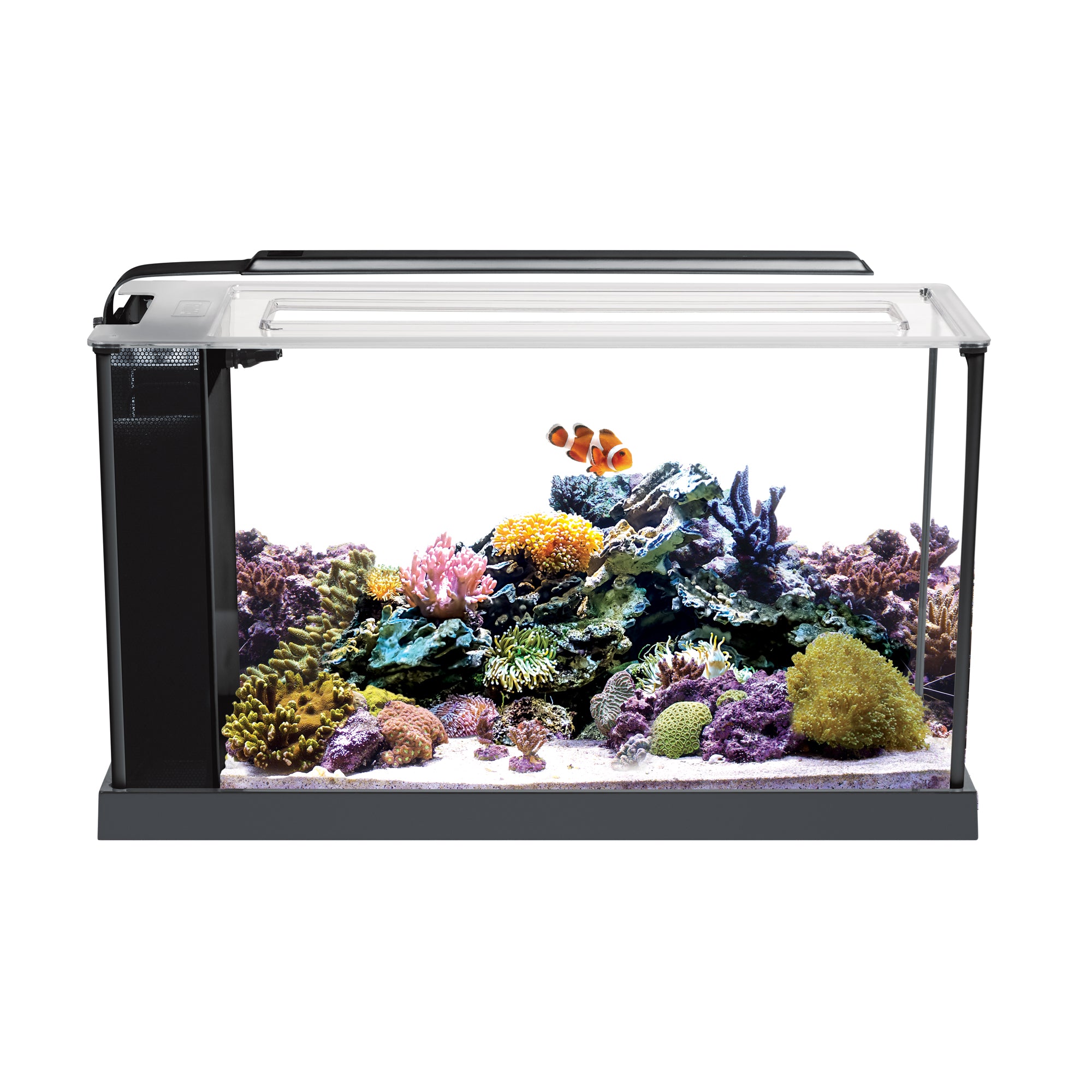 Fluval EVO 5 Gallon Marine Aquarium Kit Fluval EVO 5 Gallon Marine Aquarium Kit