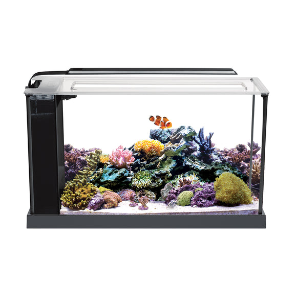 5 gallon fish tank with overflow box Waterbox Aquariums Infinia Peninsula 6025 White It also arrives with a heater Elite Ghost Overflow Box Large
