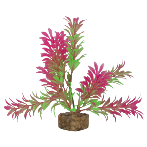 GloFish Aquarium Plant Green Pink Grandville, MI Blue Fish